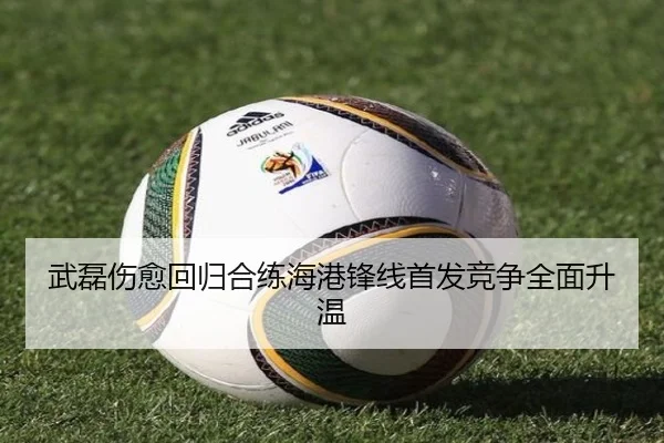 武磊伤愈回归合练海港锋线首发竞争全面升温 - SY